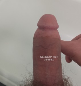 Жиголо Щучинска Анкета №356561 Фотография №2794018