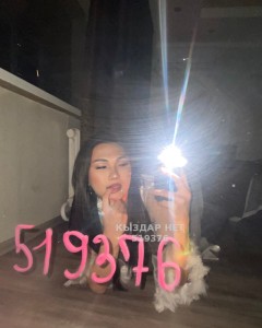 Транс Караганды Транс№519376 Арай сегодня на выезд Фотография №3886421