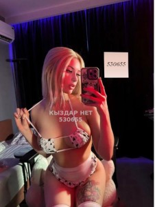 Проститутка Алматы Анкета №530655 Фотография №3979083